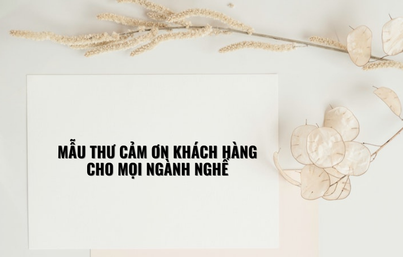 blog nhân sự là gì
