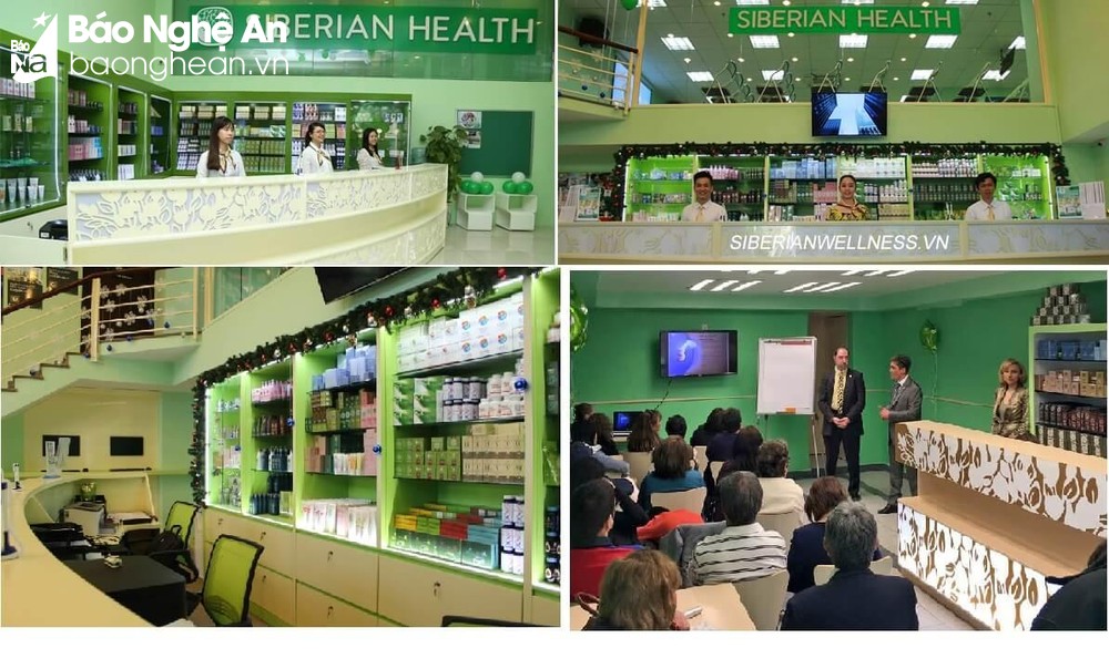 Siberian Health Quốc Tế là gì? 10 lý do bạn không nên tham gia